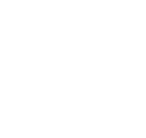 BuenaVeda Logo White